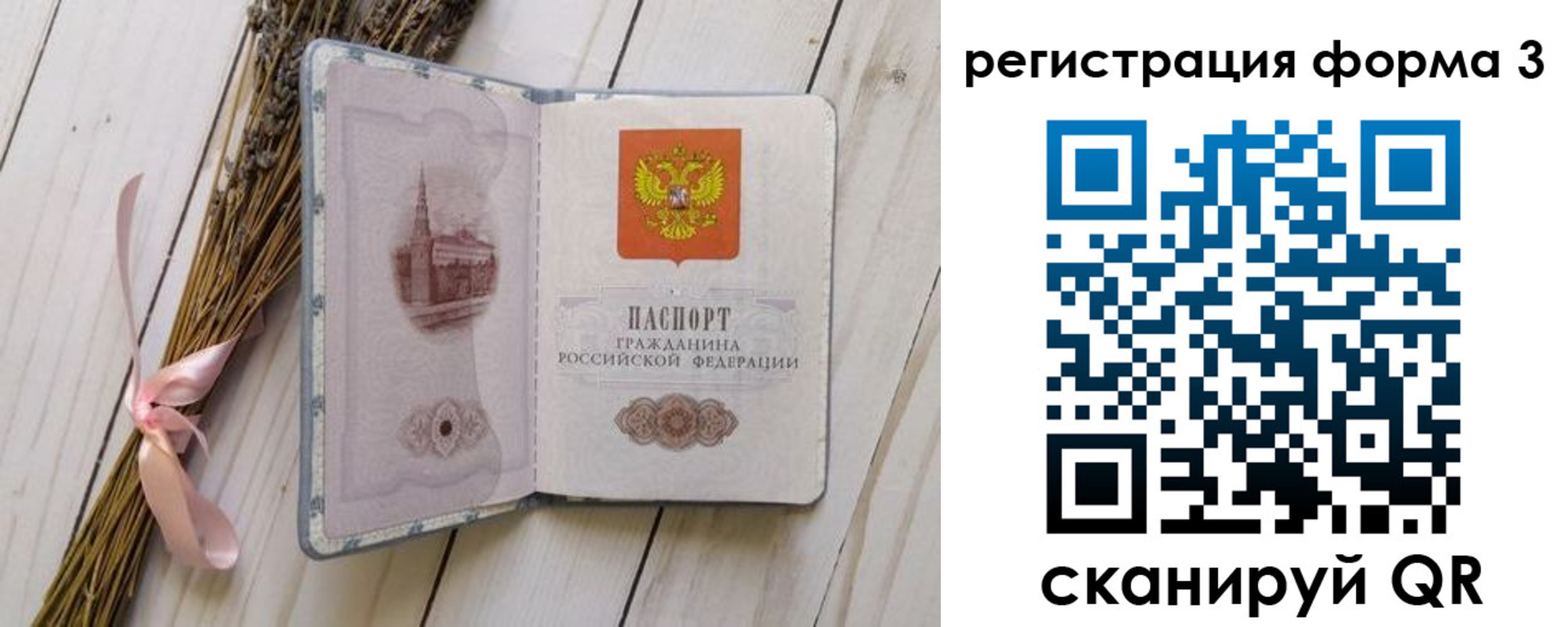 прописка поиск в Новгородской области